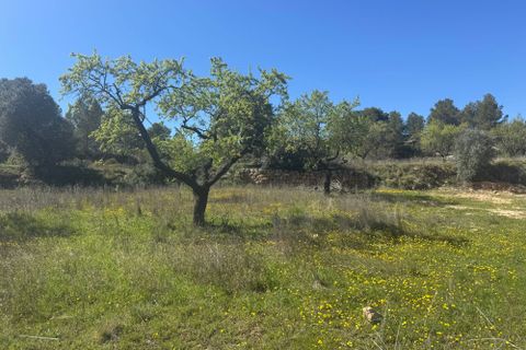 Villa i Calaceite, Teruel, Calaceite - € 220.000 | Ref: faha Sant pol - foto 23